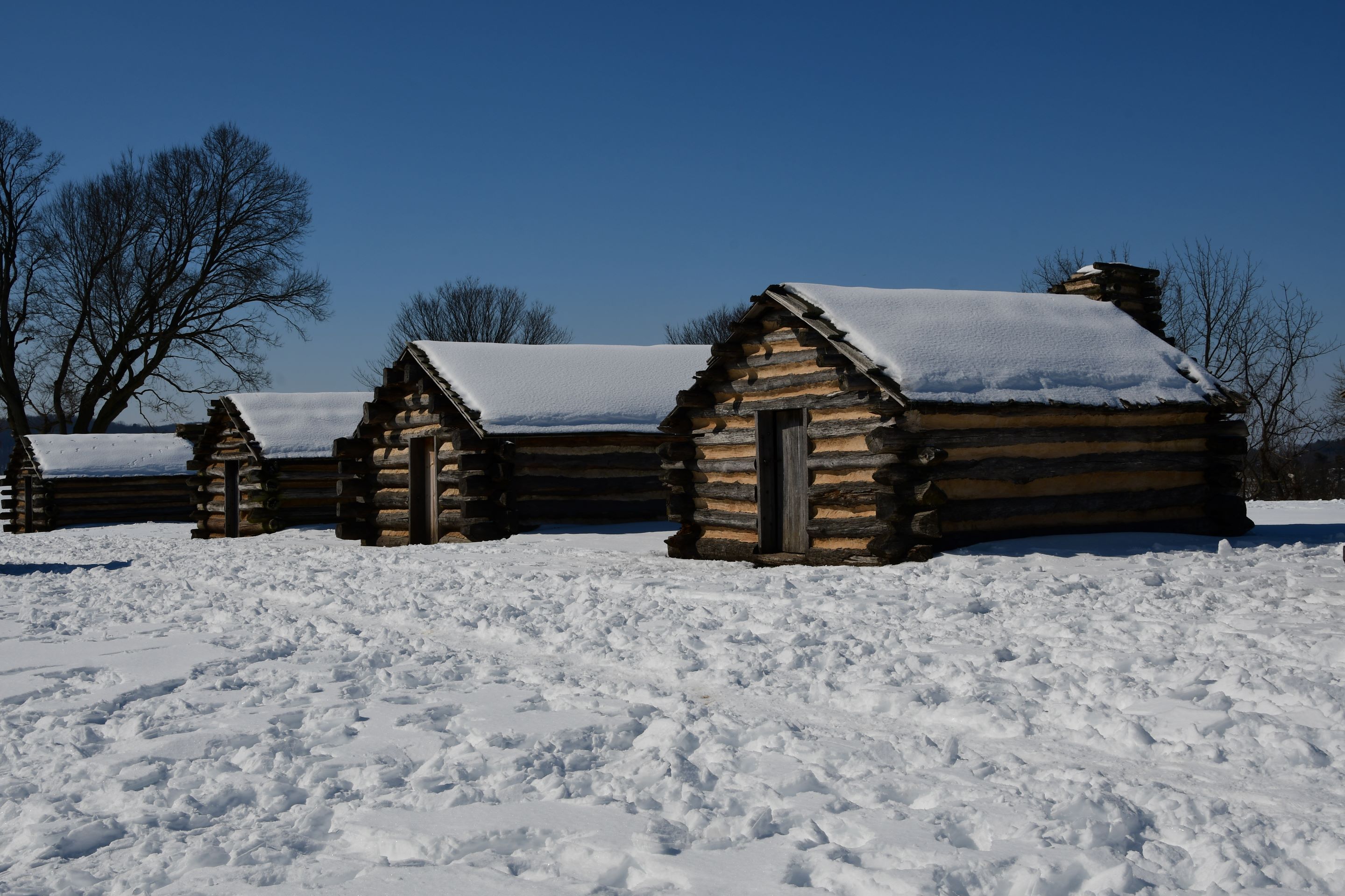 3rd PrizeOpen Color In Class 2 By Larry Stamm For Winter Protection DEC-2024.jpg